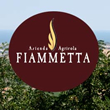 vini biologici fiammetta