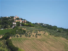 famiglie B&B Ca' Giovanni Montegridolfo