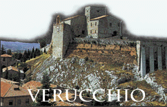 verucchio villanoviana