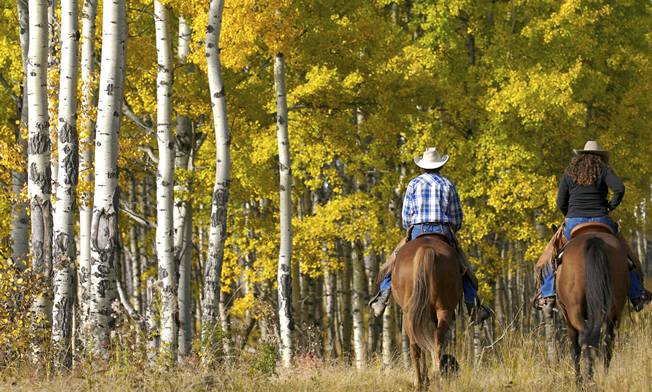 tour a cavallo con costahotels