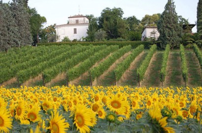 agriturismo collina dei poeti