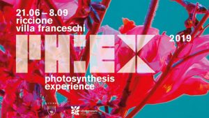 Photosynthesis experience